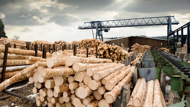 Lumber Mill lumber mill